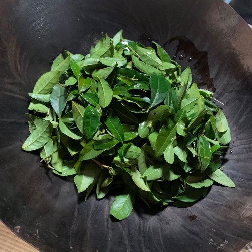 韓茶講座